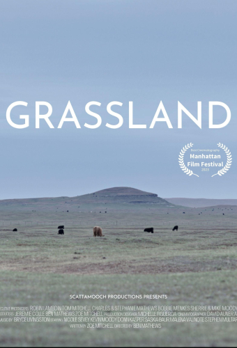 "Built for the Kill" Grassland