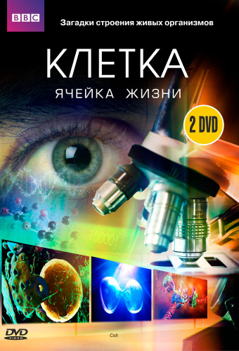 BBC: Клетка
