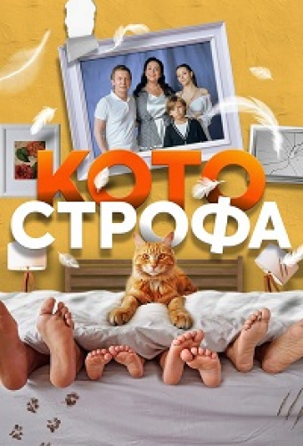 Котострофа