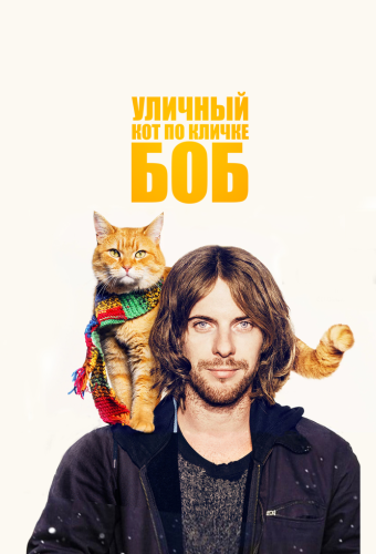 Уличный кот по кличке Боб